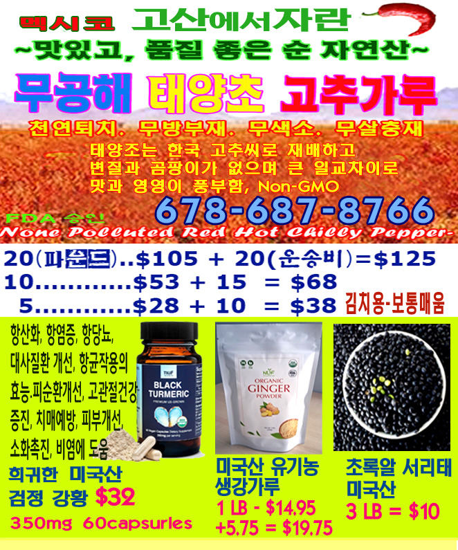 태양초 중고거래 사진